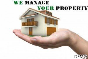 image-2_Property Management